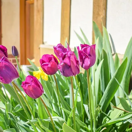 Stunning In Vakantiehuis *