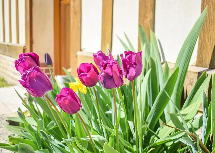 Stunning In Holiday home *